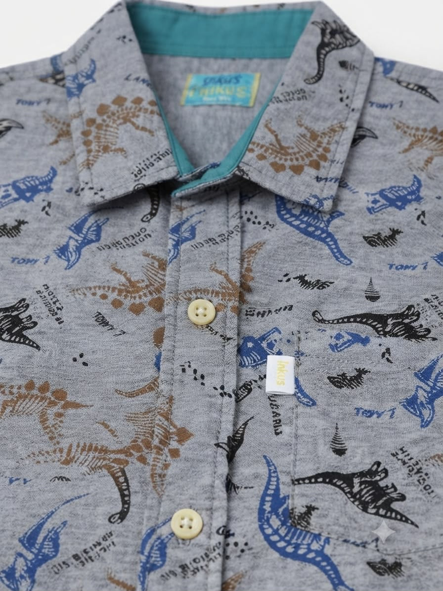 Camisa niño manga larga estampado Dinos