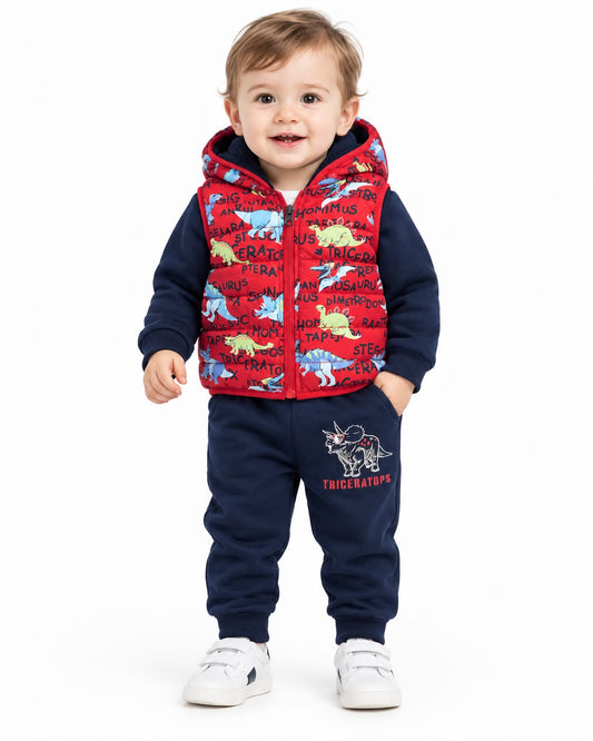 Set niño dinosaurios con chaleco y sudadera