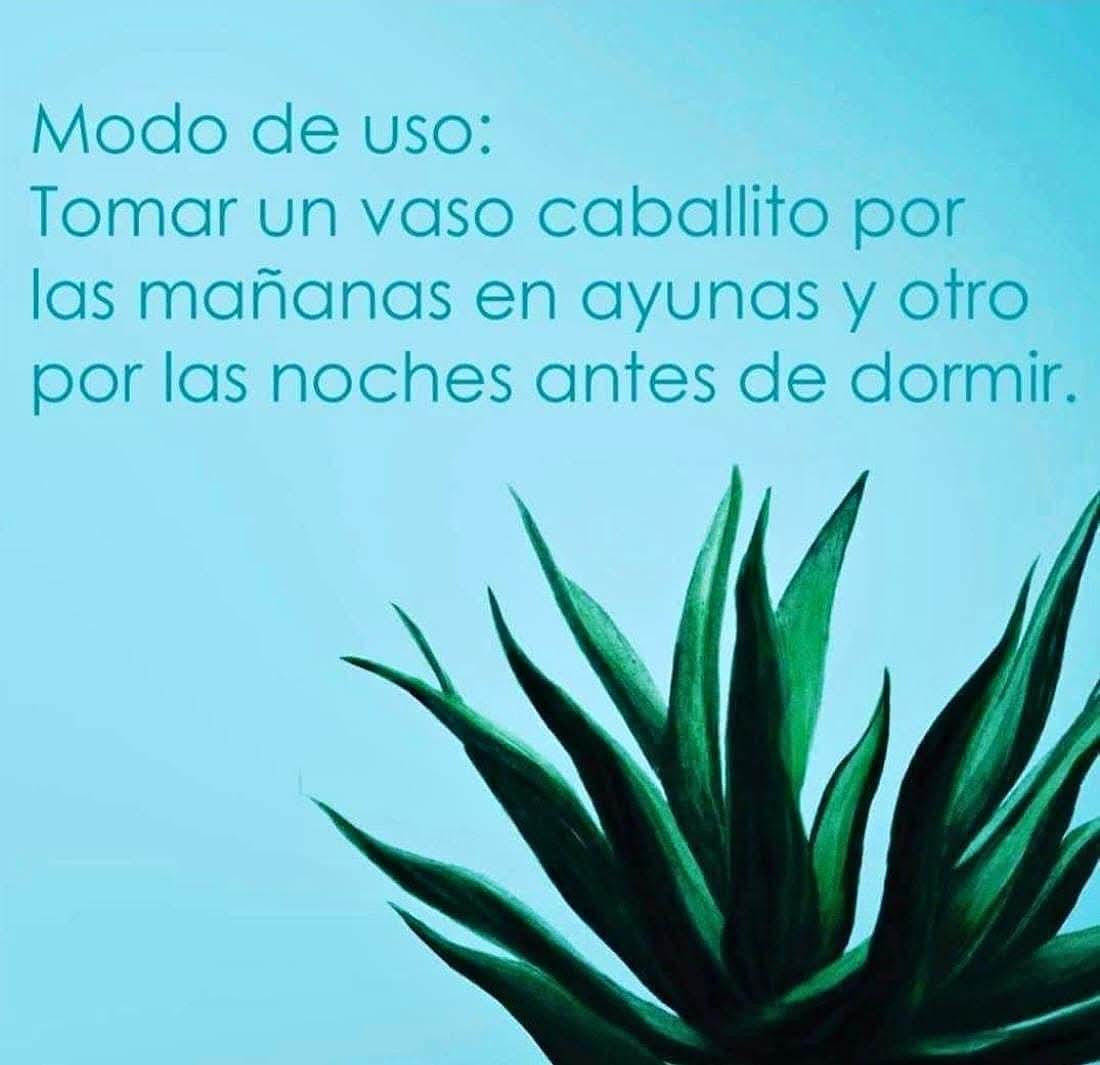 Jugo de Maguey Artesanal