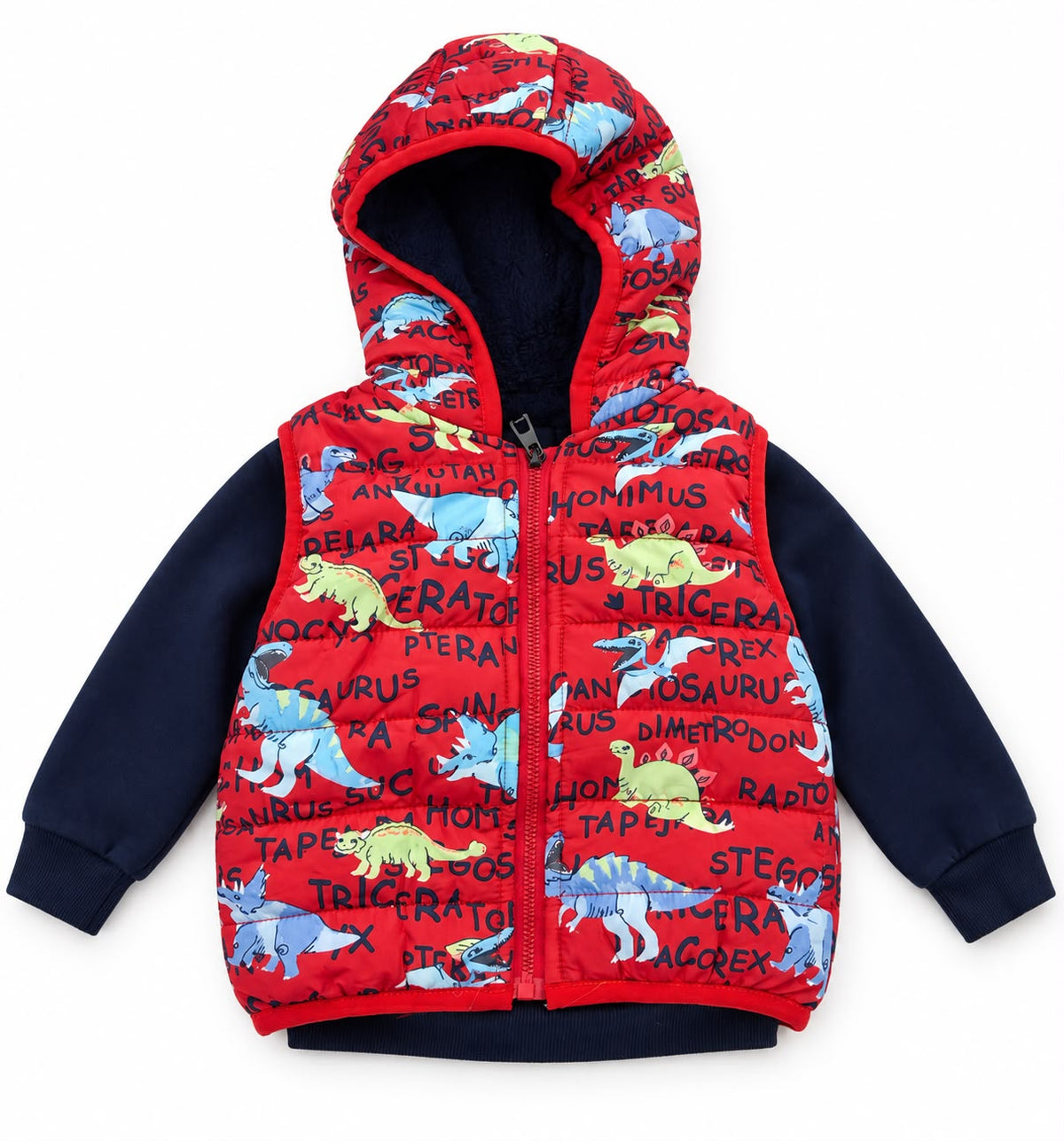 Set niño dinosaurios con chaleco y sudadera