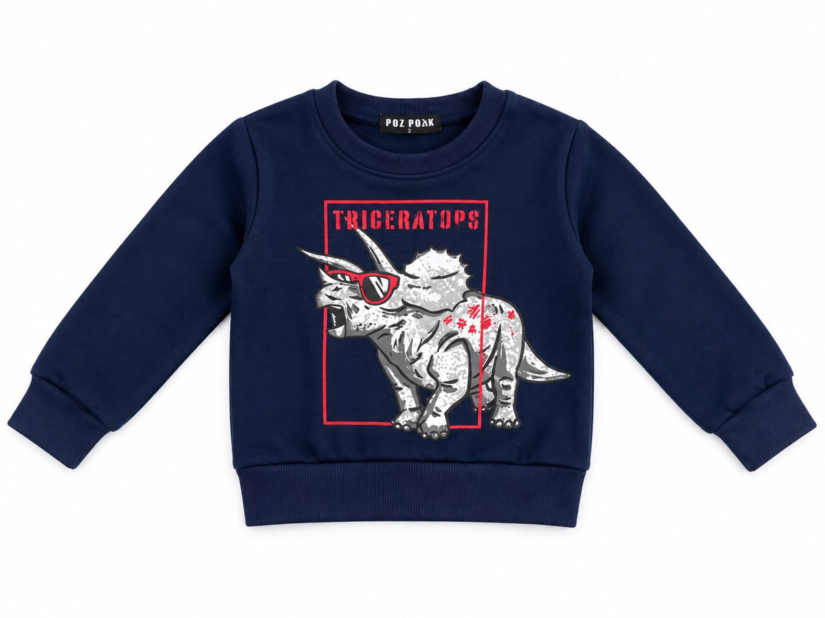 Set niño dinosaurios con chaleco y sudadera