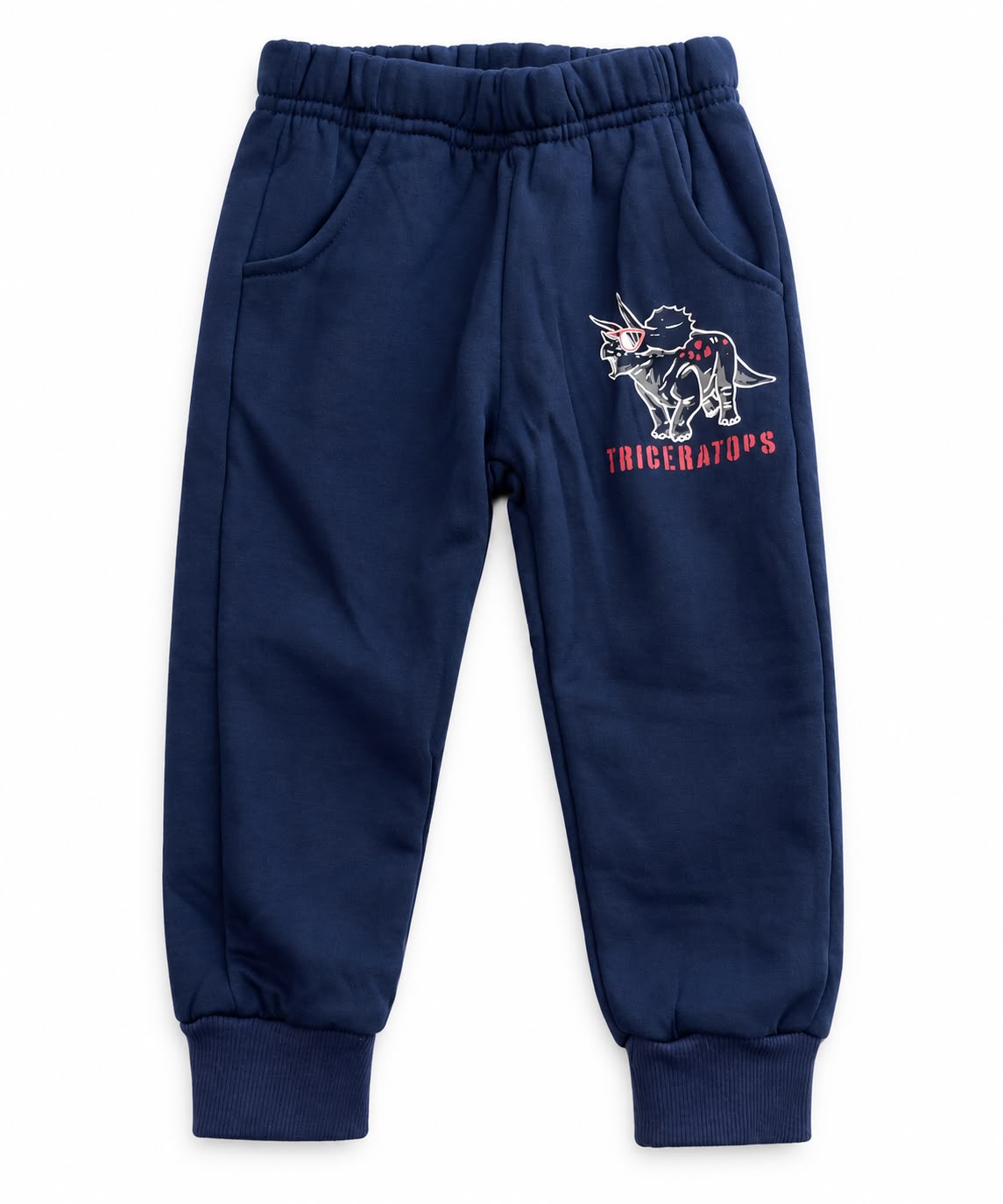 Set niño dinosaurios con chaleco y sudadera