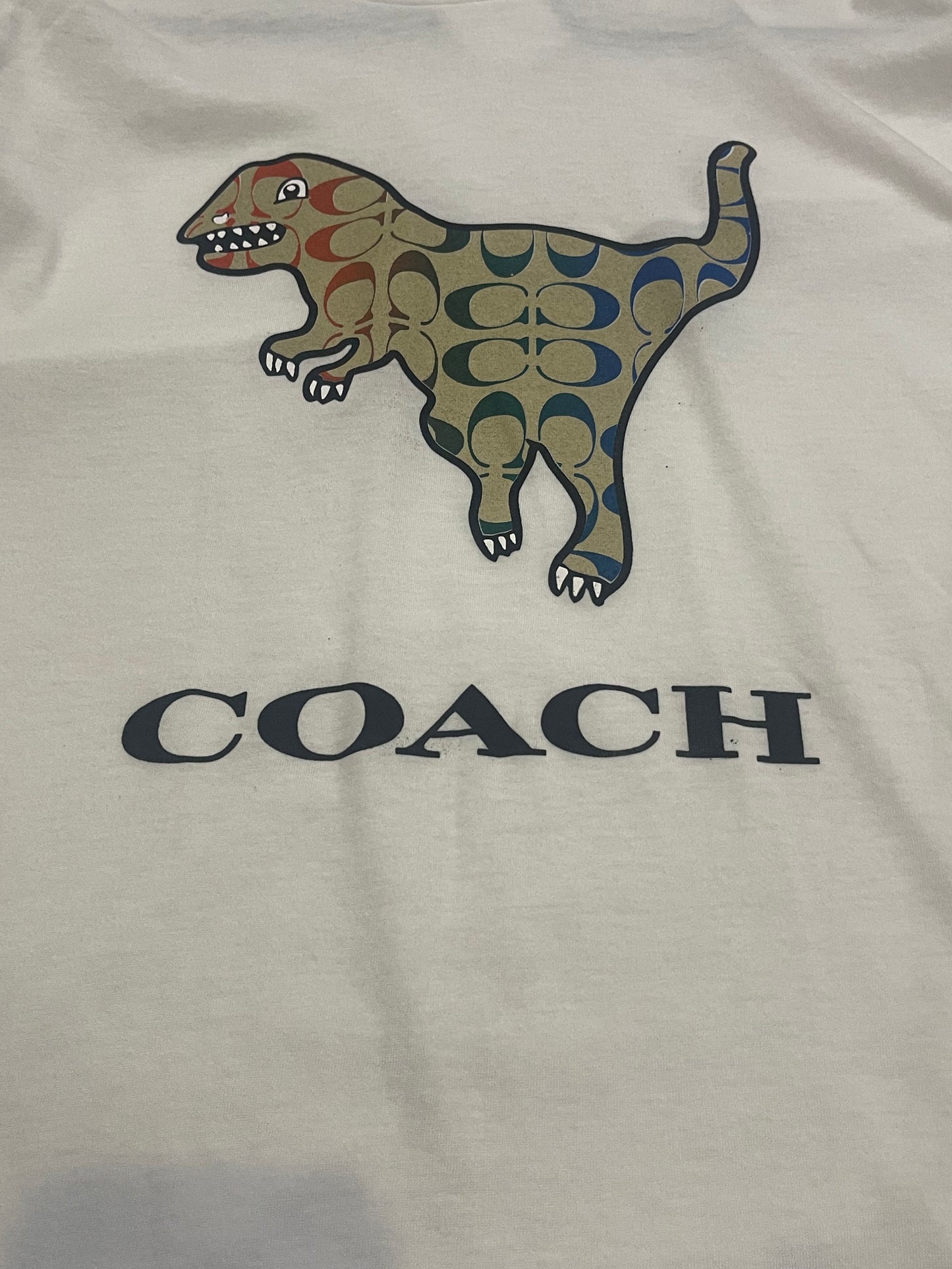 Playera caballero Grande DINOSAURIO C@ACH